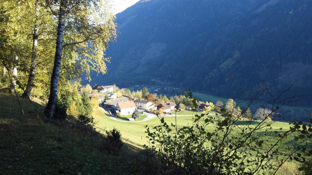 Ferienwohnung Am Bauernhof Zechner Heidi فلاتاش المظهر الخارجي الصورة